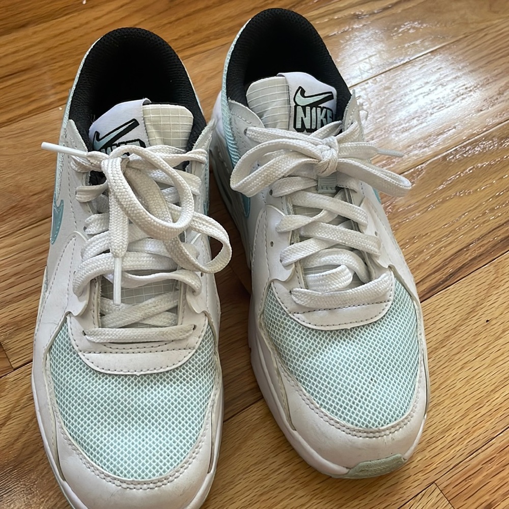 blue and white air maxx sneakers